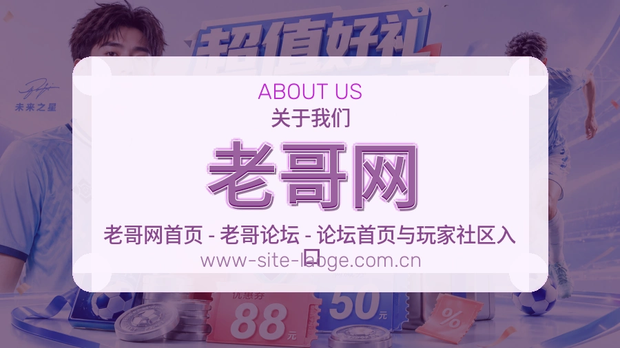 老哥网关于平台与用户服务展示